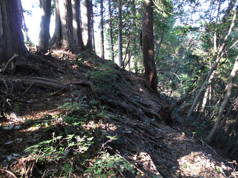 20171026hike (279)